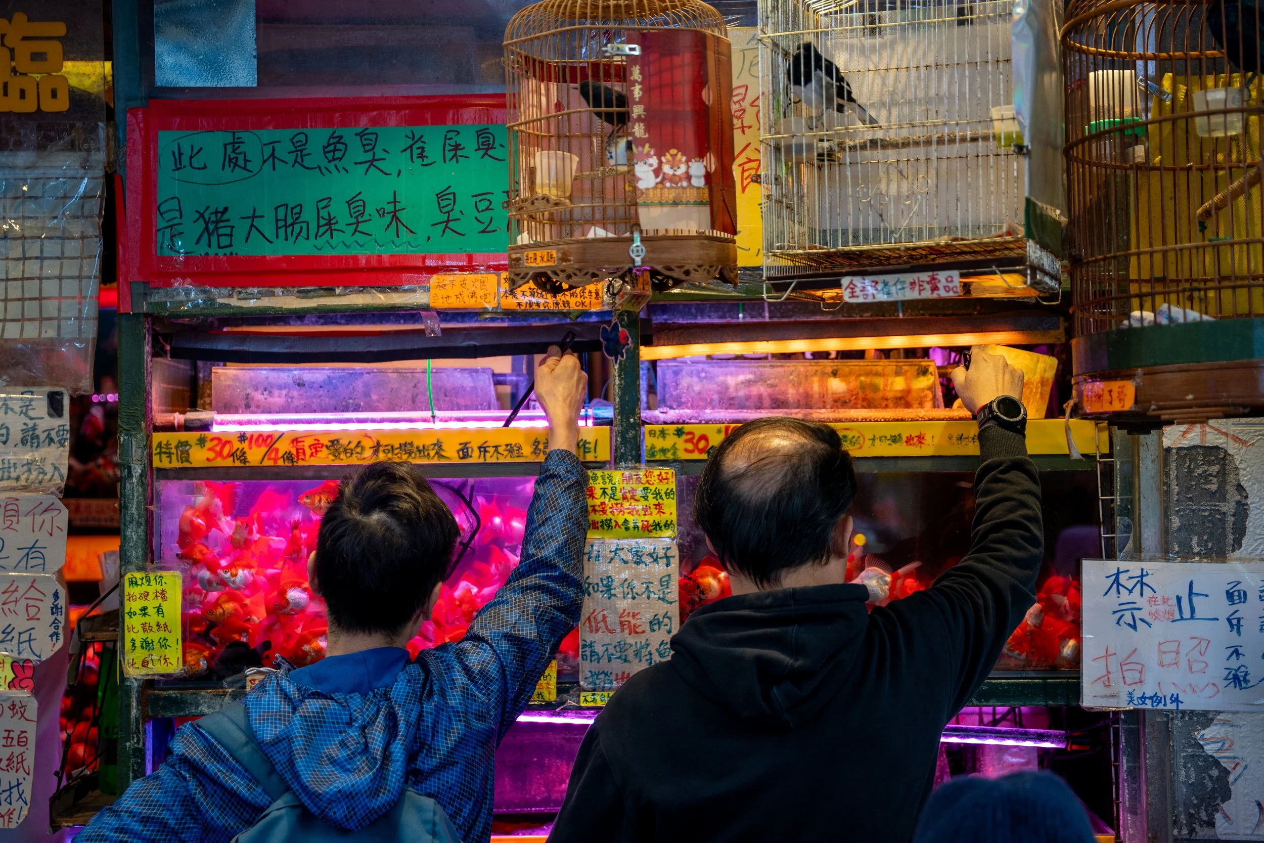 Hong Kong, China