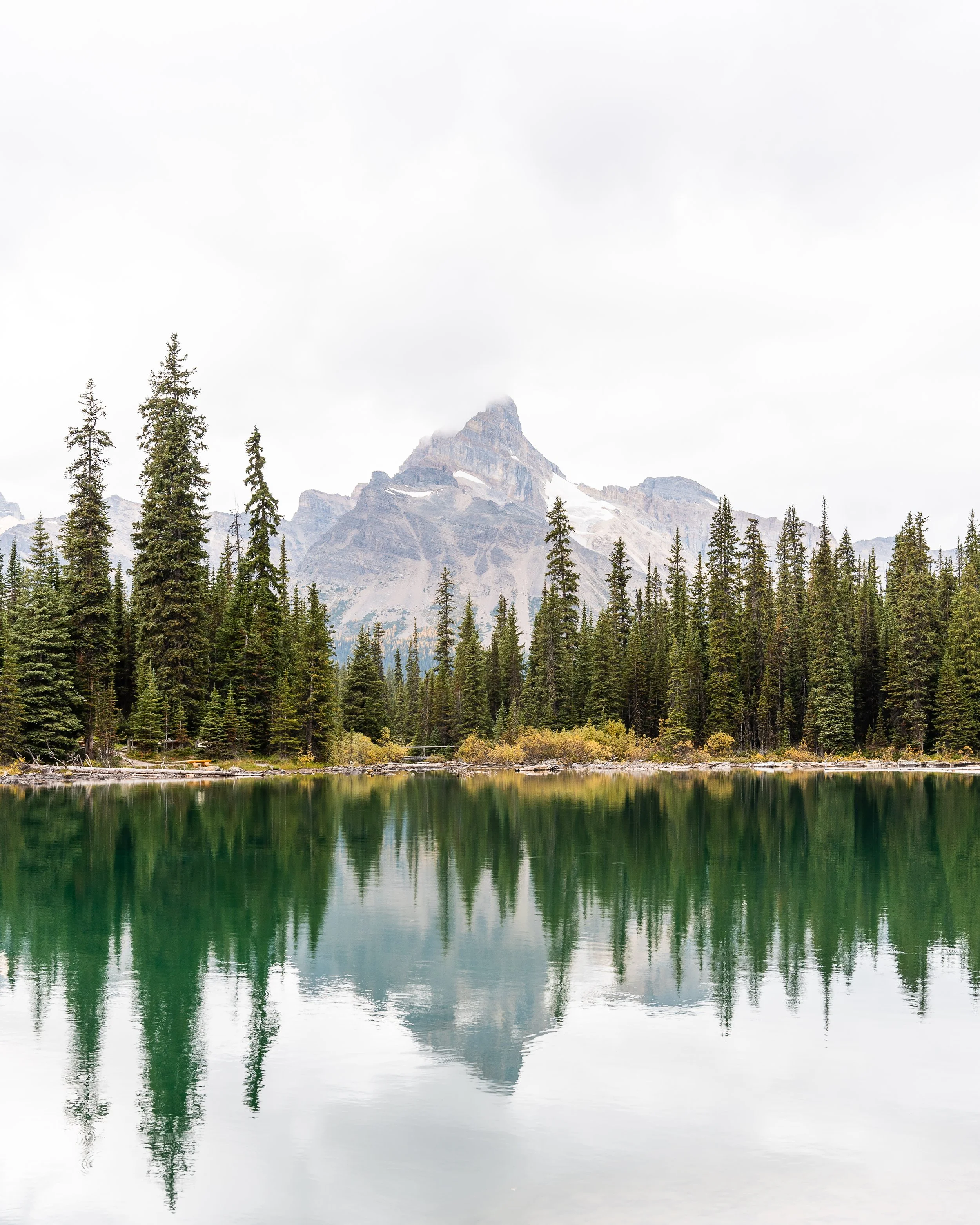 Natural Landscapes
