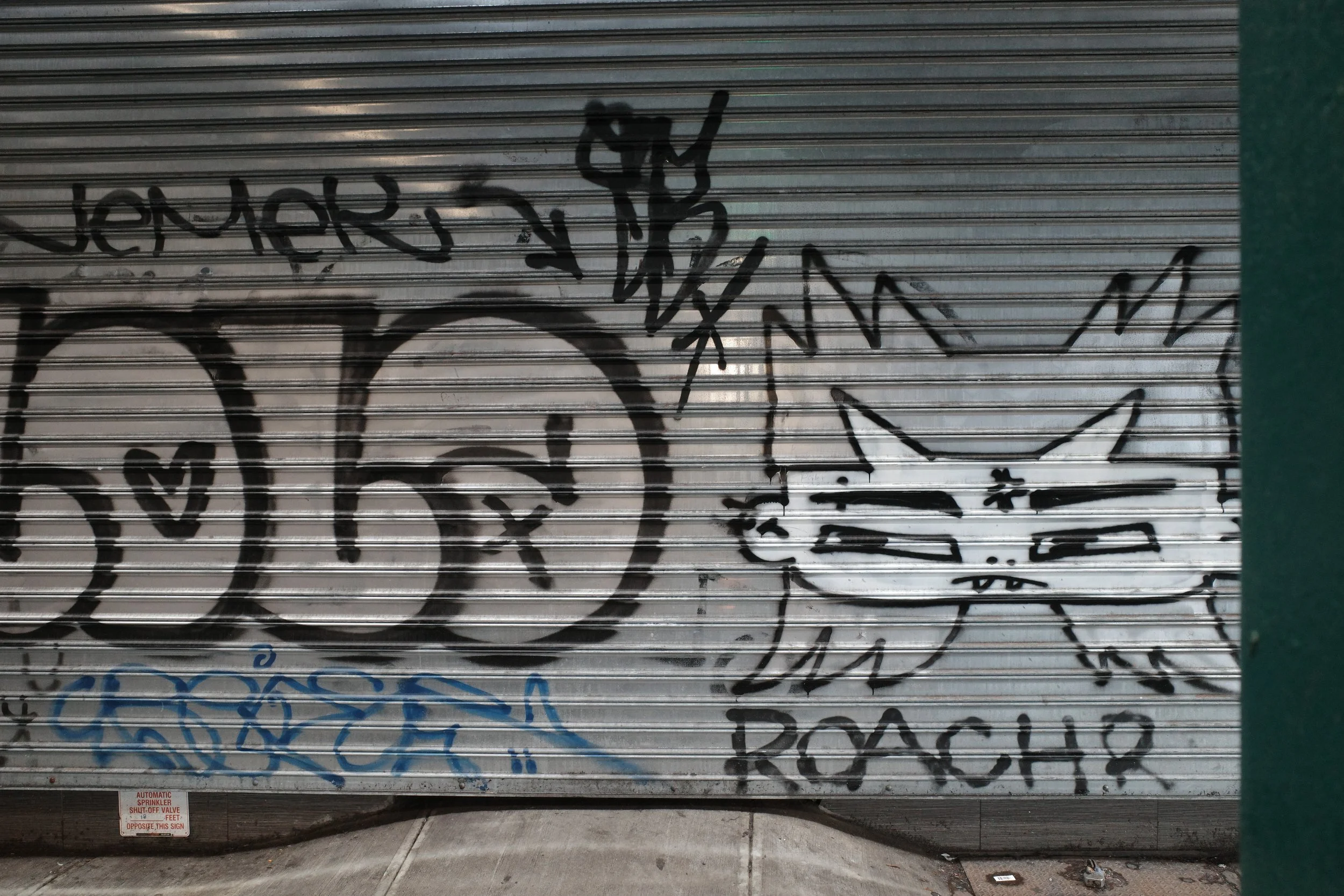 R0000030.jpg